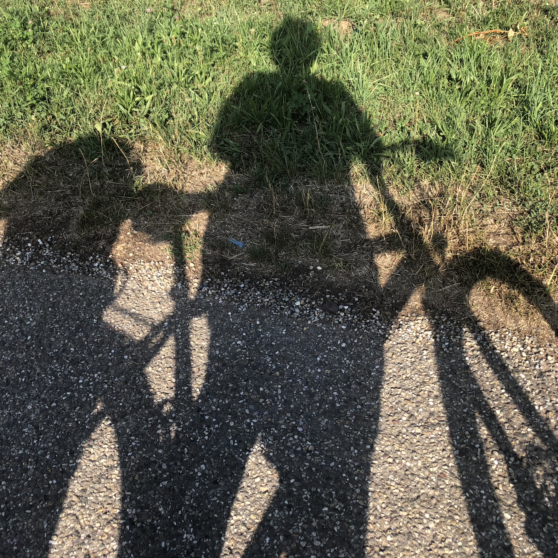 schatten